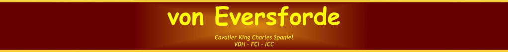 Cavalier King Charles Spaniel VDH - FCI - ICC von Eversforde